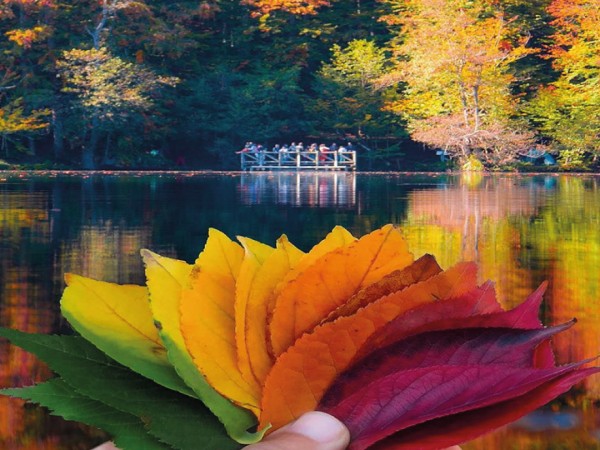 Batı Karadeniz Turu